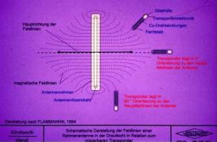Schematische Darstellung der Feldlinien einer Rahmenantenne in der Draufsicht in Relation zum injizierbaren Transponder