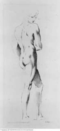 Raccolta di disegni originali di Fra.co Mazzola detto il Parmigianino tolti dal gabinetto di Sua Eccellenza il Sig.re Conte Alessandro Sanvitale, (Tav. 21) Rückenakt eines Jünglings in Schrägansicht