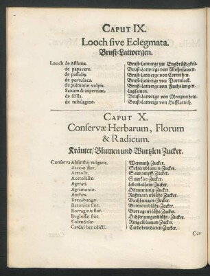 Caput X. Conservae Herbarum, Florum & Radicum. Kräuter/ Blumen und Wurzlen Zucker.