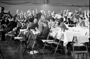 Freiburg: Stadthalle; FDP-Parteitag, Schlussabstimmung