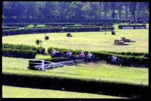 Meran (Südtirol, Italien): Galopp-Hindernis Rennen