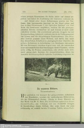 Zu unseren Bildern - Thieraufnahmen