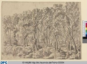 Basilius (I. Akt, Szene 12): Waldlandschaft. Sieben Rechtskulissen