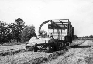 Feldhäckslereinsatz bei Riemensberger
