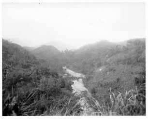 Landschaft mit Wag Water River : Weltreisen. Jamaika. Landschaft mit Wag Water River