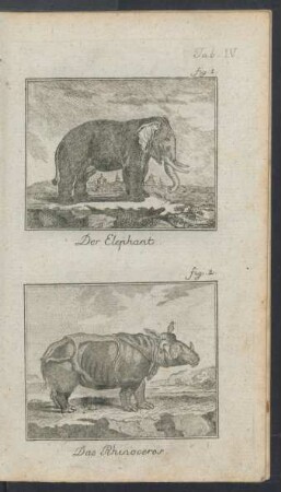 Tafel IV.: Der Elephant. Das Rhinoceros.