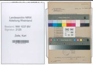 Entnazifizierung Karl Zelle , geb. 16.04.1880 (Lagerhalter)