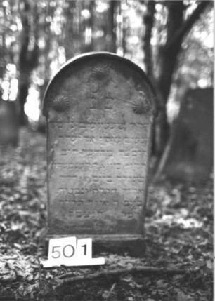 Grabstein 501 (Index: 99900897) Material: Sandstein Zustand: stark verwittert Maße HxBxT: 80x40x9 cm Beschreibung: Stele mit Rundbogenabschluss, schmale Verdachung, im Bogenfeld drei Rosetten Symbolik: Rosetten Besonderheit: Kindergrab: Grabstein 501