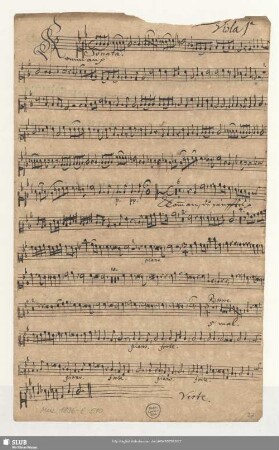 Viola 1[m]a