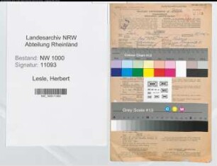Entnazifizierung Herbert Lesle, geb. 25.05.1895 (Bankangest.)