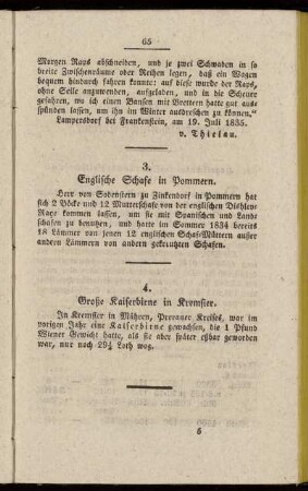 4. Große Kaiserbirne in Kremsier