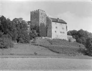 Habsburg