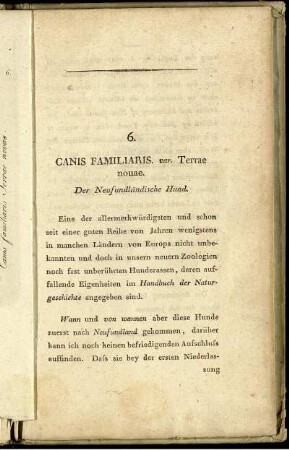 6. Canis Familiaris var. Terrae nouae. Der Neufundländische Hund