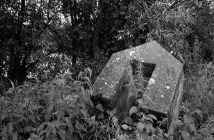 In Lebus an der Oder : In Lebus an der Oder; siehe auch 2087_16; Michael Arenz "… Oder-'Haus' … 'literarische Fotografien'"