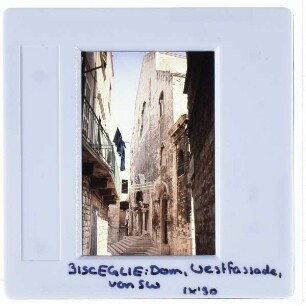 Bisceglie, Dom San Pietro Apostoli : Westfassade, von Südwesten