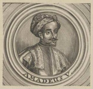 Bildnis des Amadeus V.
