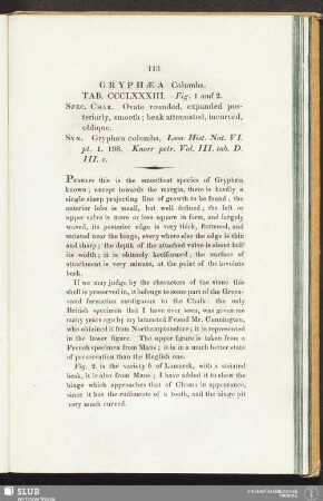 Gryphaea Columba. Tab. CCCL XXXIII. - Fig. 1 and 2