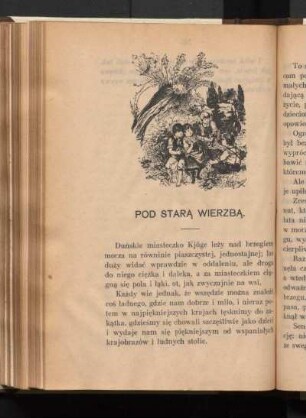 Pod Starą Wierzbą.