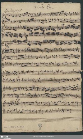 Viola 2da.