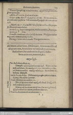 Animum advertere, Observare, Attentum esse ad aliquam rem, Attendere vel intendere animum, Auscultare, Incumbere in aliquid, Ahibere animum, mentem, [et]c.