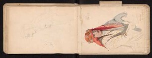 29v-30r 29.XI.1883 Abdaluziz Hajol