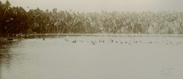 "Fishing trip in the inland sea, Nauru"