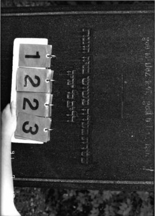 Grabstein 1223 [Hahn S. 187 Grab-Nr. 1878]: Grabstein 1223 (Detailaufnahme) [Hahn S. 187 Grab-Nr. 1878]