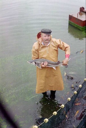 Binnenfischerei