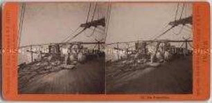 Papageien an Bord, Nr. 87 aus der Serie "Marine" von der Weltumsegelung auf der S.M.S. "Hertha"