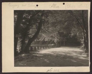Allee 1929. Allee, Eingang zur Schanze. Detmold. Allee