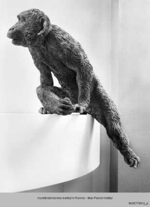 Affe mit aufgestützten Pfoten - Fontana delle Scimmie