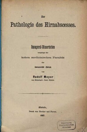 Zur Pathologie des Hirnabscesses : Inaug. Diss.