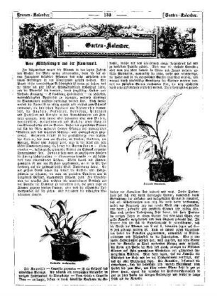 Garten-Kalender : Haus- und Frauen-Kalender