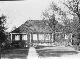 Lille Frøn