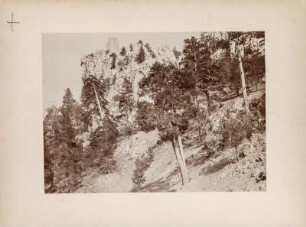 Ruine : Ruine auf Kalkklippen im Kiefernwald.