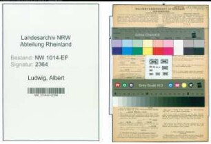 Entnazifizierung Albert Ludwig , geb. 17.03.1915 (Kaufmaennischer Angestellter)
