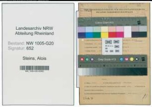 Entnazifizierung Alois Steins , geb. 15.08.1904 (Schreiner)