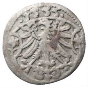 Fundmünze, Dreier (NZ), 1555