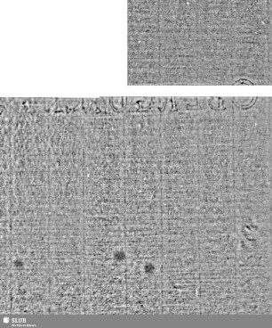Lilie / OBERGURCK = Bd.1,S.139/140+163/164 (zusammengesetzt)