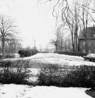Dorfstraße: vorn Hecke: dahinter Grünfläche: rechts Haus: davor Bäume und Pkw: Winter