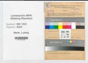 Entnazifizierung Ludwig Merle , geb. 10.05.1896 (kfm. Angestellter)