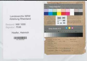 Entnazifizierung Heinrich Hoefer, geb. 06.06.1904 (Steuergehilfe)