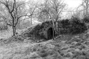 Gewölbekeller (Gewölbekeller); Gemünden, Hofgärten