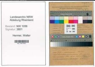 Entnazifizierung Walter Hermer , geb. 30.01.1914 (Techniker)
