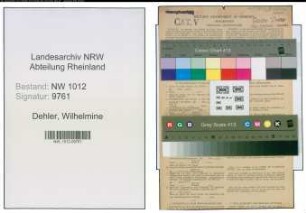 Entnazifizierung Wilhelmine Dehler , geb. 13.03.1906 (Einzelhaendler)