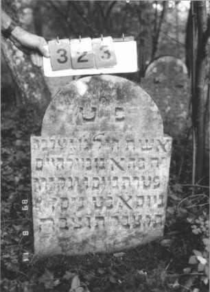 Grabstein 323 (Index: 99799779) Material: Sandstein Zustand: verwittert Maße HxBxT: 80x55x7 cm Beschreibung: Stele, eingezogener Rundbogenabschluß: Grabstein 323