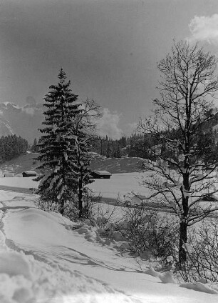 Winter-Sonne bei Garmisch-Mittenwald