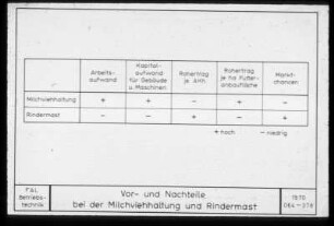 Vor- und Nachteile bei der Milchviehhaltung und Rindermast