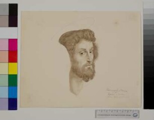 Kopf des Apostels Matthäus aus Raffaels Marienkrönung