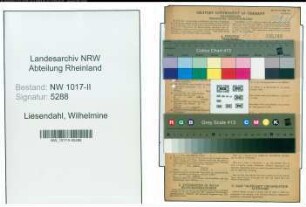 Entnazifizierung Wilhelmine Liesendahl , geb. 18.04.1900 ()
